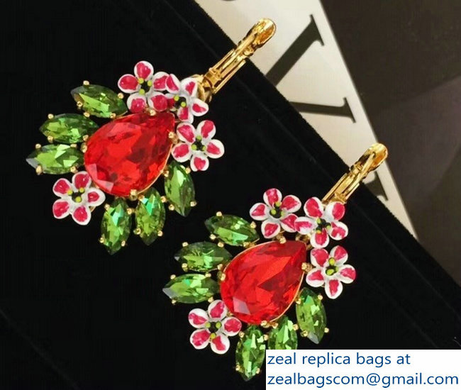 Dolce & Gabbana Earrings 41 2018